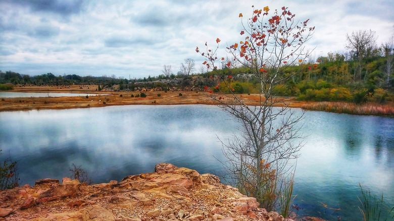 Blue pond surrounded by brown stones and dirt, with a near-bare tree that has a few red leaves