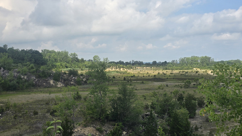 View of Oakes Quarry Park, with trees on hills around an area of sparse grasses and bushes