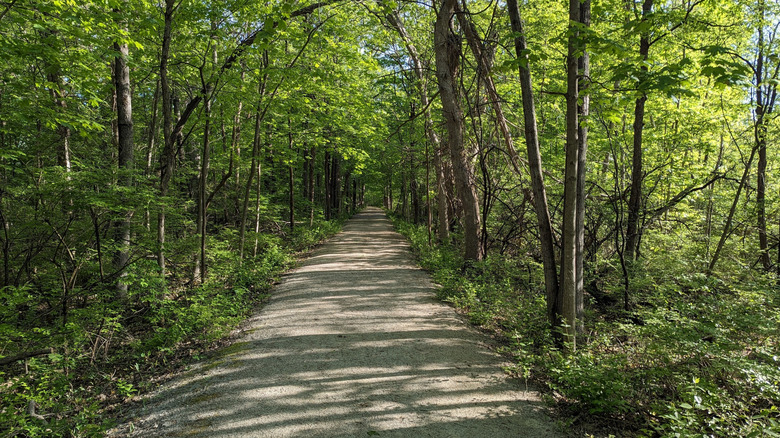One of three trails at the Sawyer Quarry Nature Preserve