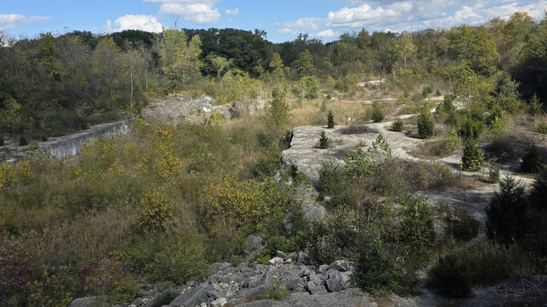 The remnants of the quarry at Sawyer Quarry Nature Preserve