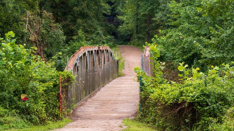 Wooden bridge lush foliage Moonville Rail Trail