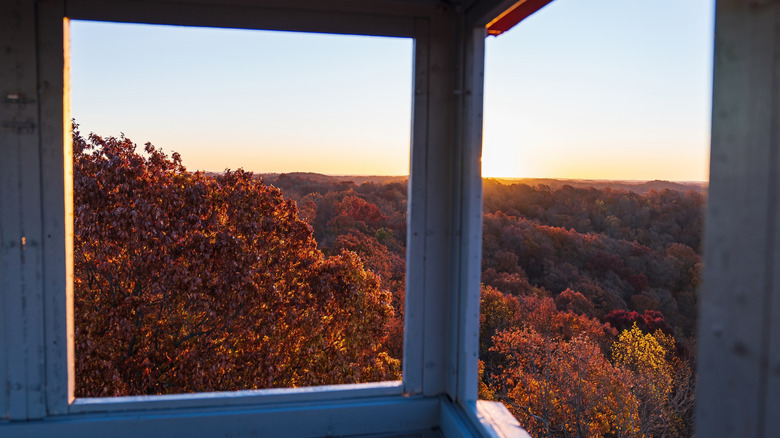 View of Shawnee State Park forest