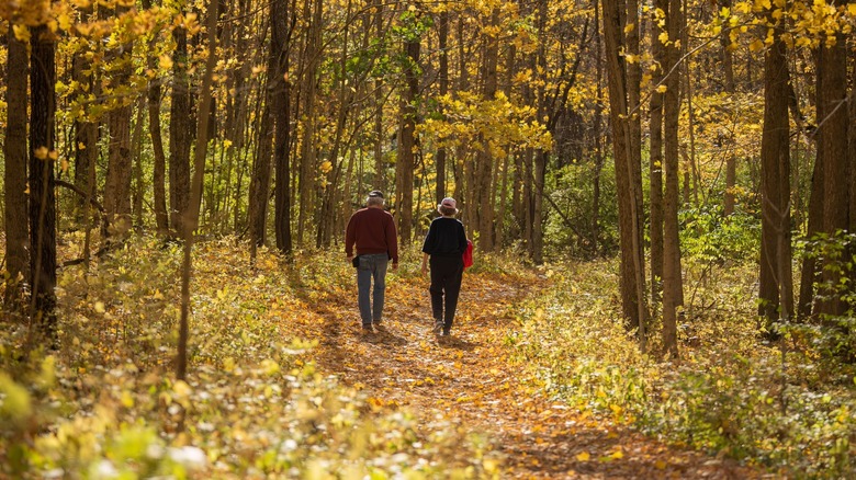 Couple walks through Sugarcreek Metropark in fall