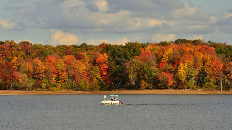 Vibrantly colored autumn trees on the shore of Alum Creek Lake, Ohio