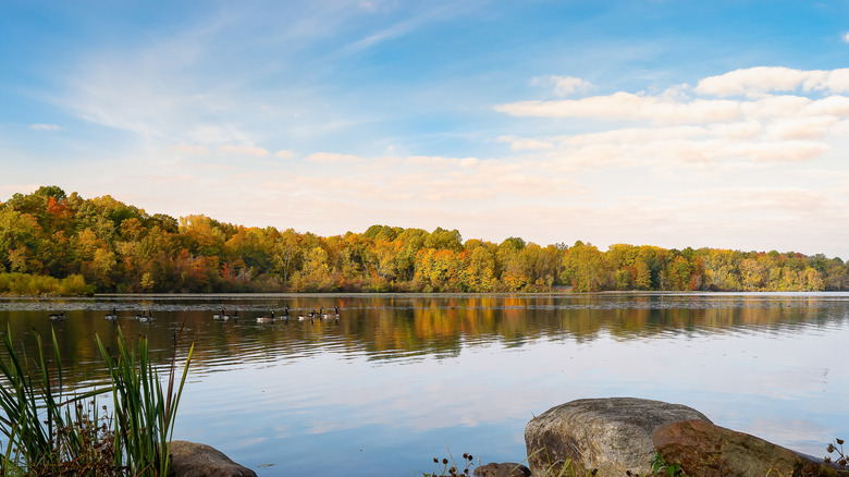 Rocks on the edge of Kiser Lake State Park in Ohio with fall foliage in the background