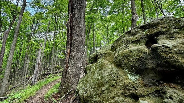 Great Seal State Park in Ohio