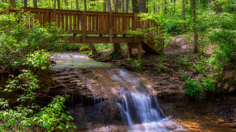 Rocky Fork Creek Gorge near Bainbridge