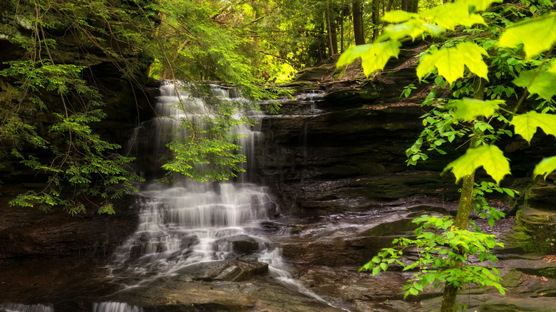 Water rushing down the Honey Run Waterfall