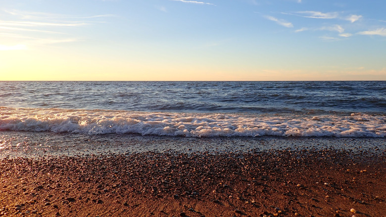 The beach of Headlands Beach State Park