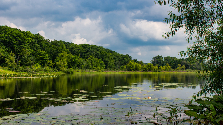 Summer at Punderson Lake in Ohio
