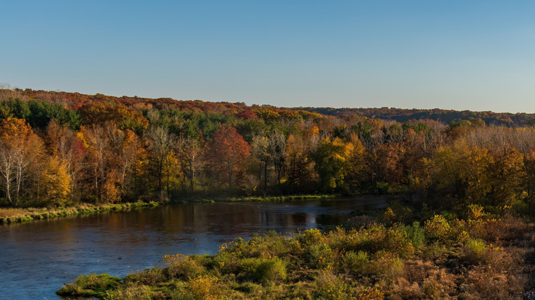 Fall foliage at Hoover Reservoir in Ohio