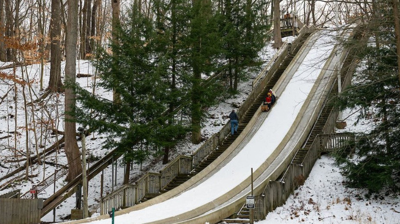 View of the toboggan chute at The Chalet, with people in winter coats, surrounded by snow covered trees