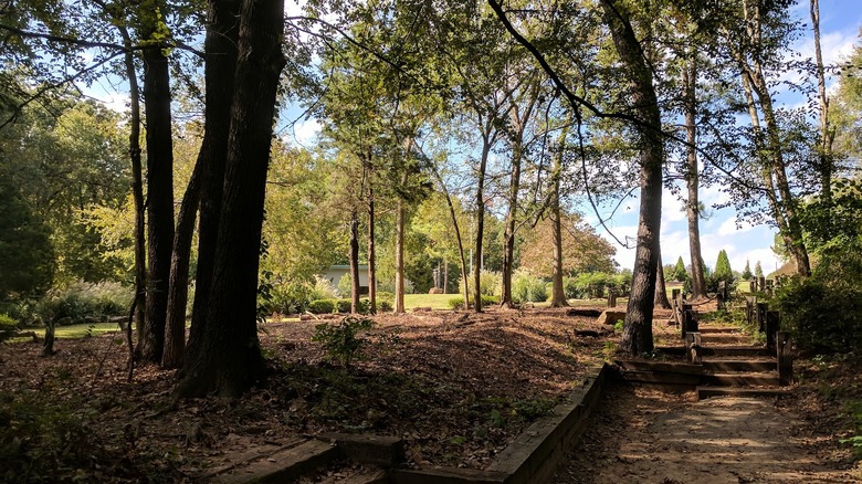 Trees next to a path in the Ray Harral Nature Park and Center within Broken Arrow, Oklahoma