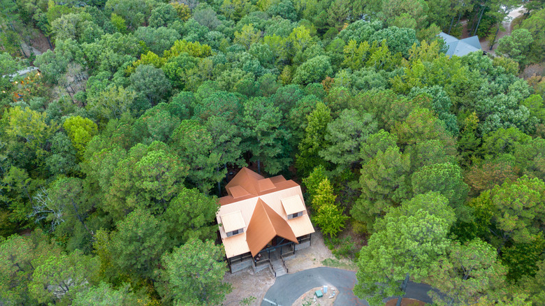 Secluded cottage in the woods in Broken Bow, Oklahoma