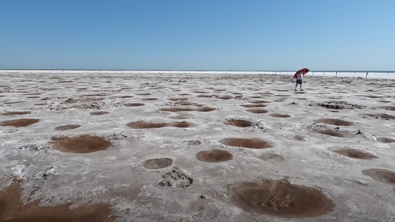 Holes dug in Salt Plains National Wildlife Refuge, Oklahoma, by people searching for hourglass selenite crystals