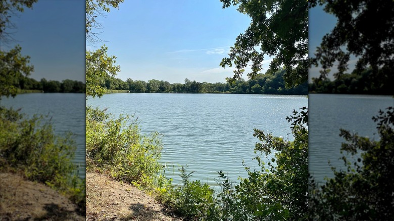 Greenery at Collinsville Lake, Oklahoma