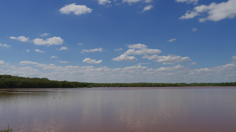 views of the reddish, murky water at Lake Thunderbird State Park in Oklahoma