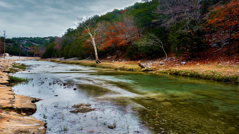A mixture of bare and red-leaved trees line a still body of water at Turner Falls Park