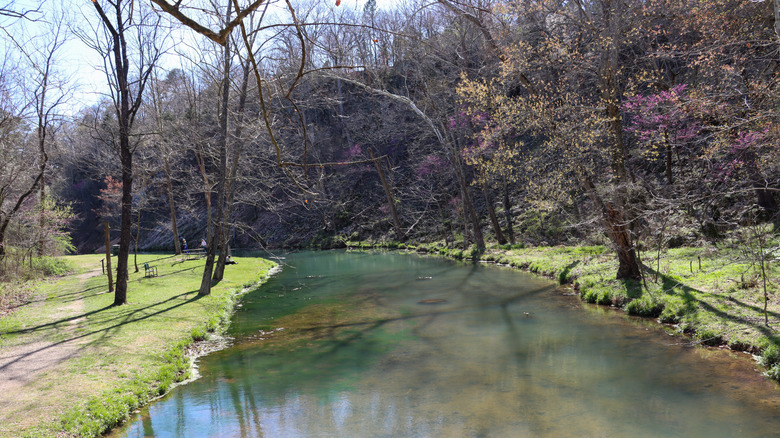 Tree-lined creek at Natural Falls State Park in Oklahoma