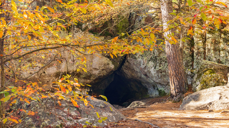 scenery at Robbers Cave State Park in Oklahoma