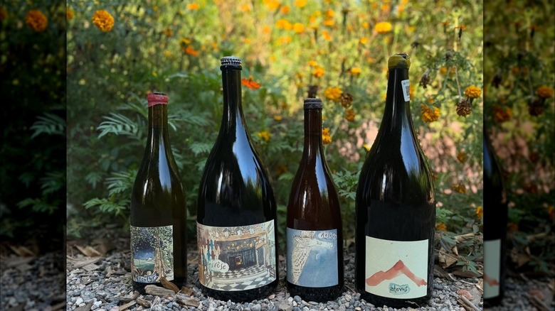 Bottles of wine in a row in front of wildflowers.
