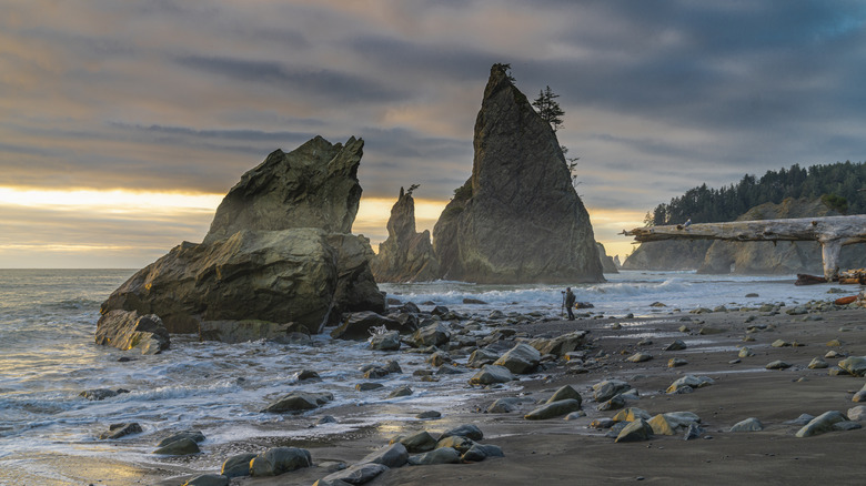 A photographer watches the sunset at Rialto Beach in Washington's Olympic National Park