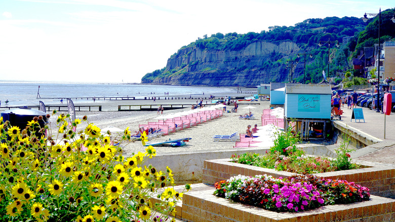 A view from the esplanade on Shanklin Beach with pink chairs in the sand, huts on the beach, and cliffs in the distance