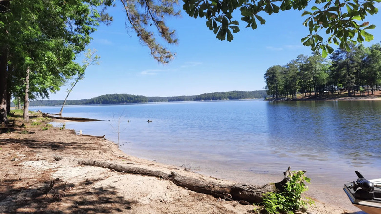 Shoreline views of Clarks Hill Lake from Elijah Clark State Park in Georgia