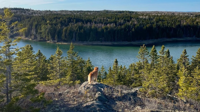 The view from Klondike Mountain