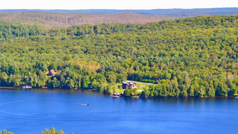 Aerial view overlooking a lake and forests