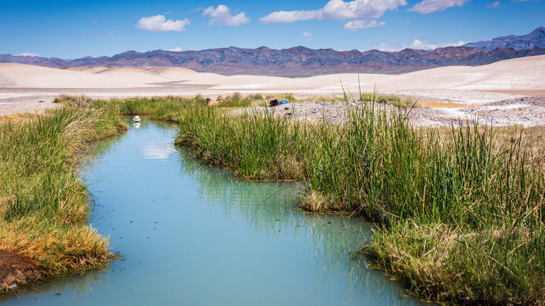 Hot springs in Tecopa, California