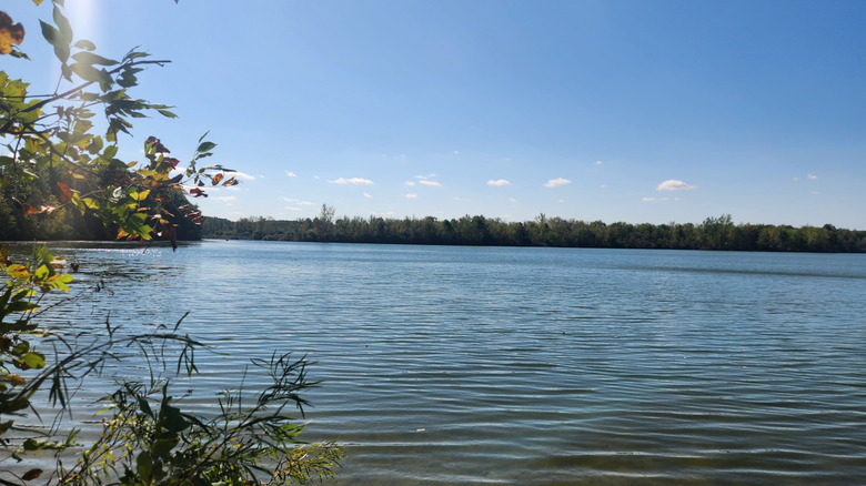 Views along the shore of Lake Hudson