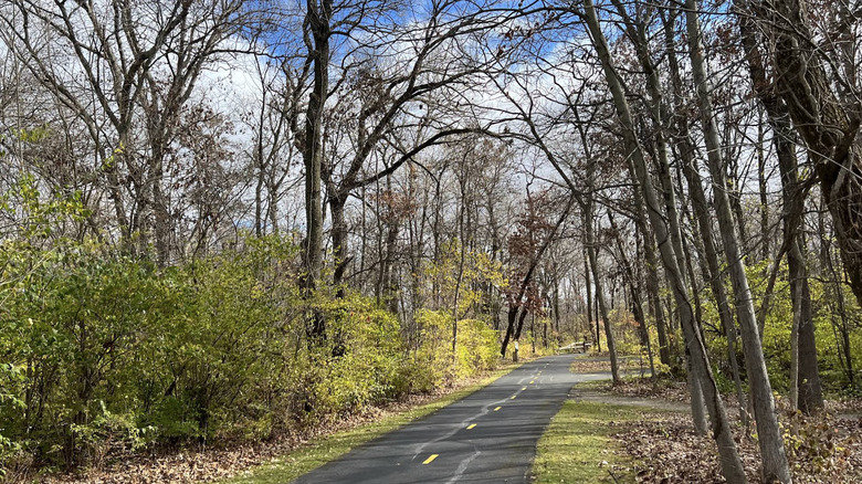 A paved trail surrounded by trees in Blackhawk Springs Forest Preserve, Illinois