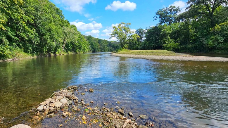 The shallow Kishwaukee River surrounded by greenery in Blackhawk Springs Forest Preserve, Illinois