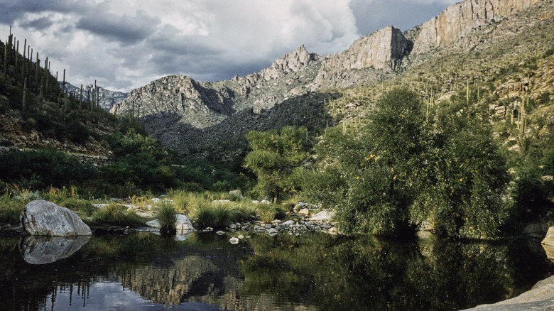 Canyon views in Sabino Canyon Recreation Area.
