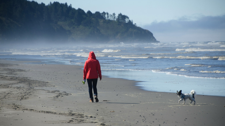 A person walks along an empty beach in Seaview, WA