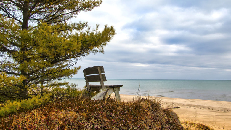 View of a bench on the sandy shores of Lake Michigan