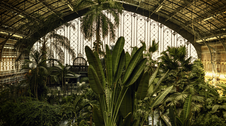 The Atocha Station Tropical Garden