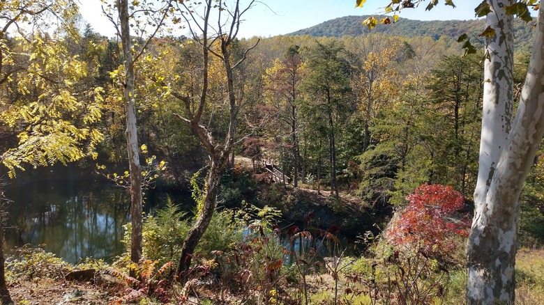 A view of a tree-lined lake on a sunny day at the Quarry Gardens at Schuyler.