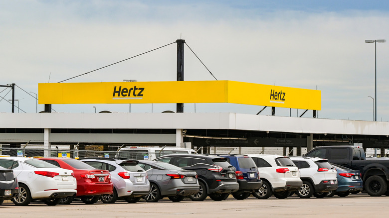 A line of polished cars in the parking lot of a Hertz agency