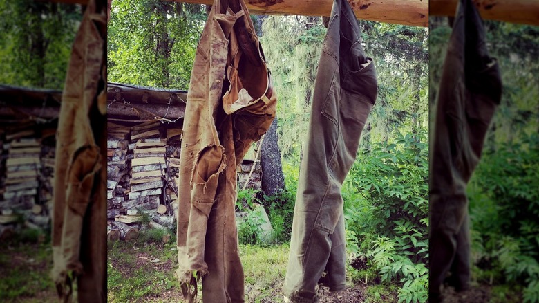 Two pairs of worn Carhartt work pants hanging on a branch in Maine.