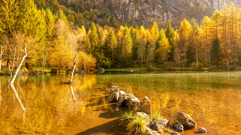 Foliage in the Mello Valley over lake