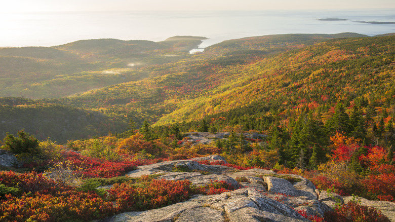 Cadillac Mountain at Sunrise in Autumn, Acadia National Park, Mount Desert Island, Maine, USA