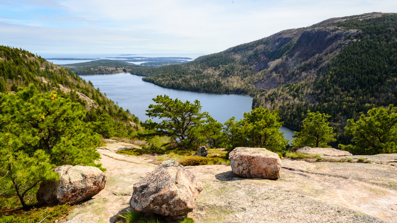 Precipice Loop Overlook at Acadia National Park