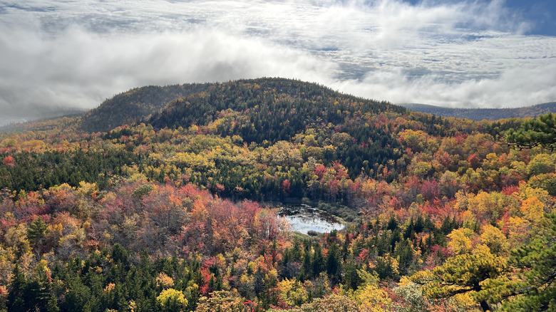 Acadia National Park, Precipice Loop Hiking Trail