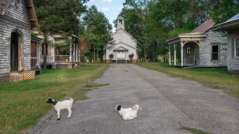 Buildings and goats in the fake town of Spectre on Jackson Lake Island in Millbrook, Alabama