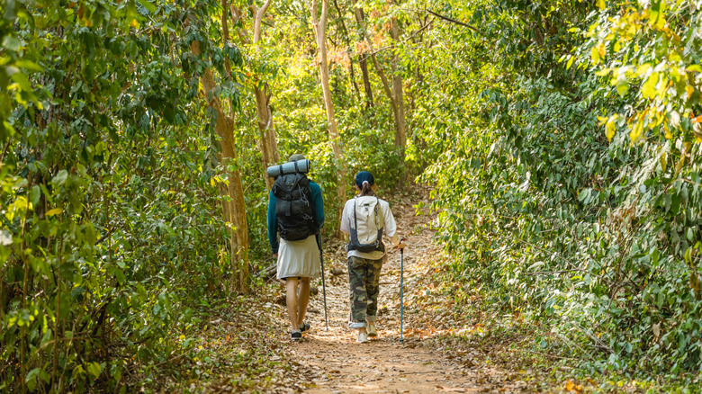 Two people hiking in a forest