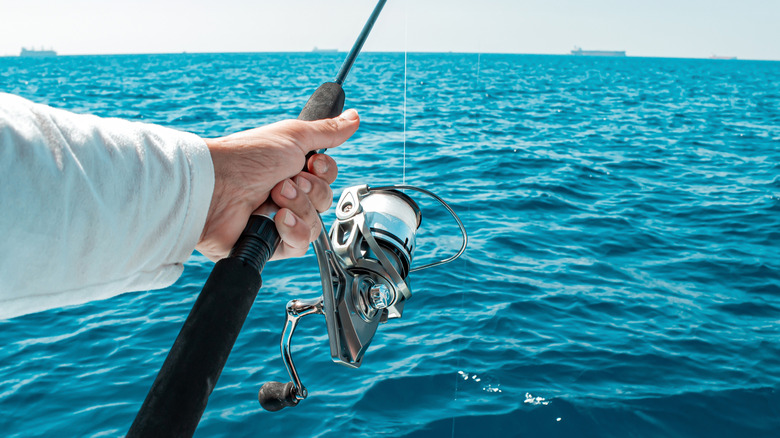 A man holding a fishing rod over the water