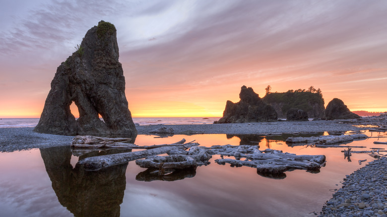 Sunset with sea stacks and driftwood at Ruby Beach in Washington State