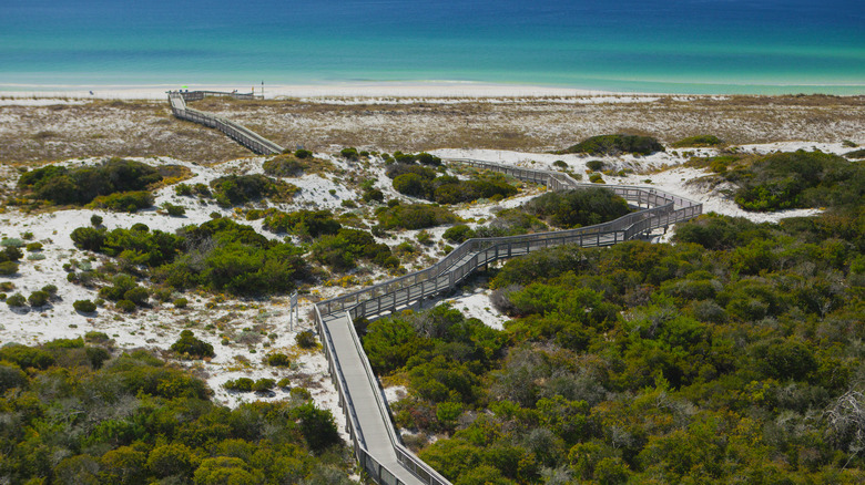 An aerial view of Henderson Beach State Park
